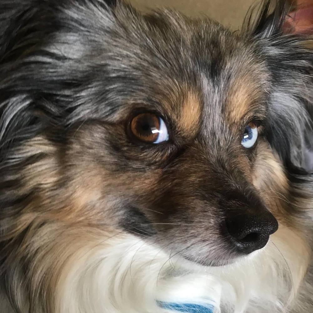 Meet your Posher, Briana